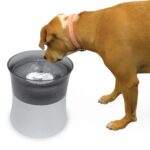 Elevated Vortex Drinking Fountain 128oz