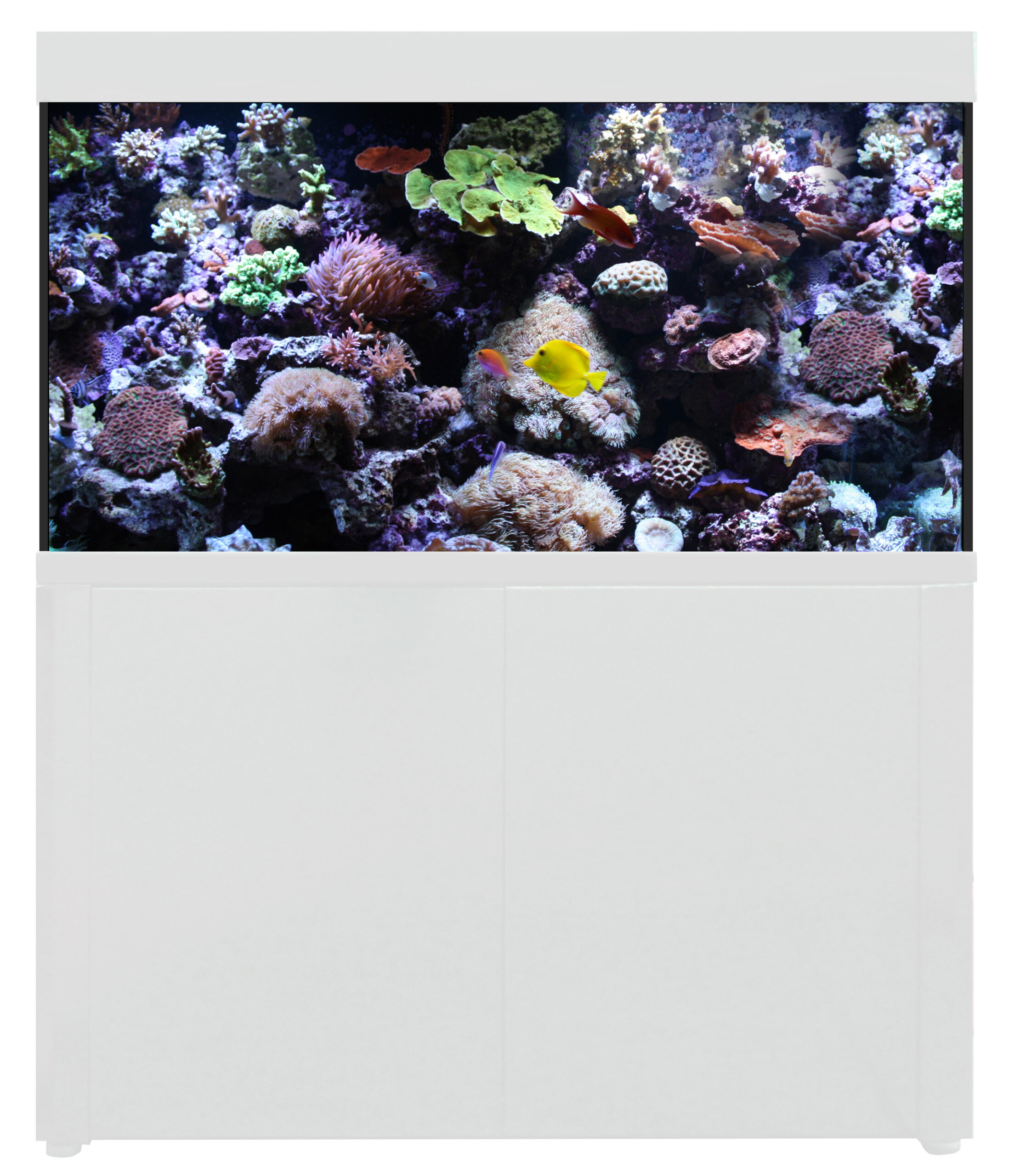 main-107.jpg Aqua One AquaReef 400 Marine Set (series 2) 128x50x70cm H (white) CABINET ONLY - Image 1