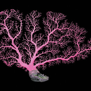 Aqua One Coral Fan Pink 60x41cm (L)