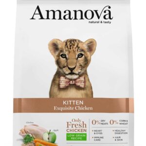 Amanova Dry Kitten Exquisite Chicken - 1.5kg
