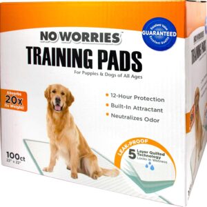 FOUR PAWS NO WORRIES 22X22 INC PADS 1/100CT BOX puppy pads