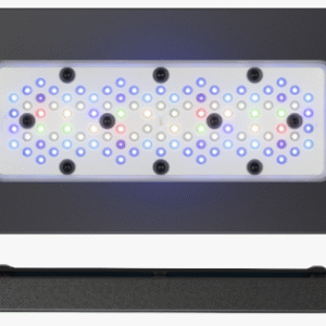 ECOTECH RADION XR30 G5 PRO