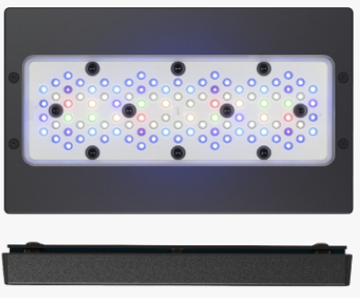 main-32.png ECOTECH RADION XR30 G5 PRO - Image 1