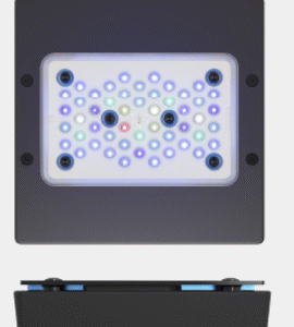 ECOTECH RADION XR15 G5 BLUE