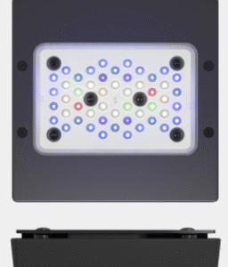 ECOTECH RADION XR15 G5 PRO