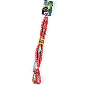 Four Paws Nite Brite Reflecting Leash,5 8in x 6ft Red