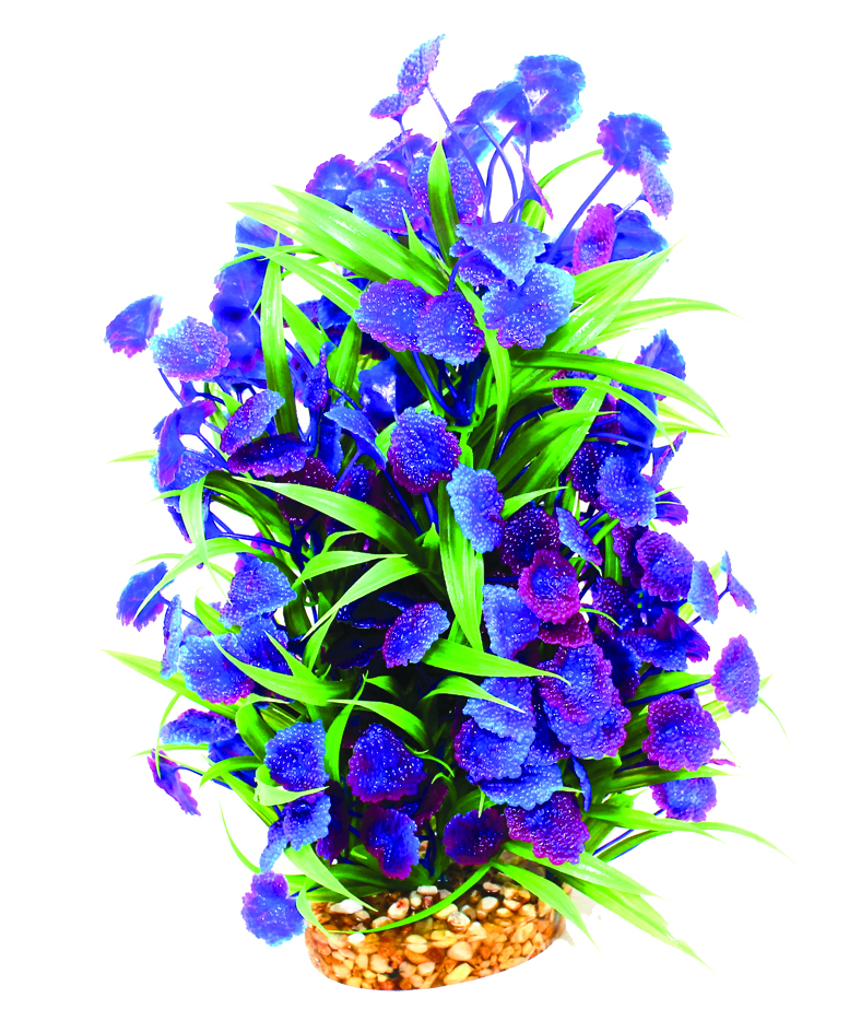 main-84.jpg Aqua One Vibrance - Blue Centauria With Gravel Base (L) - Image 1