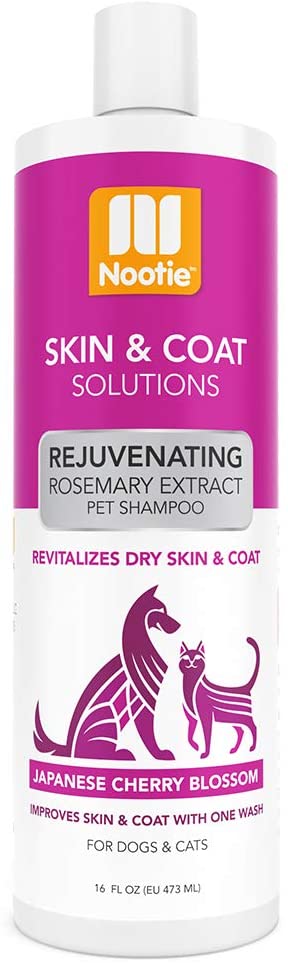 17023860181288330114.jpg Nootie Exhilirating Shampoo Japanese Cherry Blossom 16Oz - Image 1