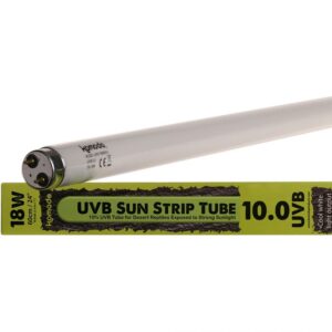 Komodo Fluorescent T8 Bulb UVB 10% 18W