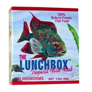 San Fransisco Bay Brand Lunch Box Bloodworm Frozen 40 Ct 80g