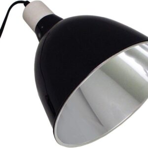 Komodo Deep Reflector Dome