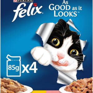 Purina Felix Adult