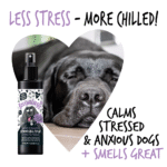 Bugalugs Lavender & Chamomile Deodorising Spray 200ml (6.8 Fl Oz) - Image 4