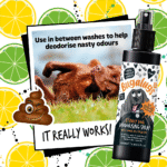 Bugalugs Stinky Dog Deodorising Spray 200ml (6.8 Fl Oz) - Image 4