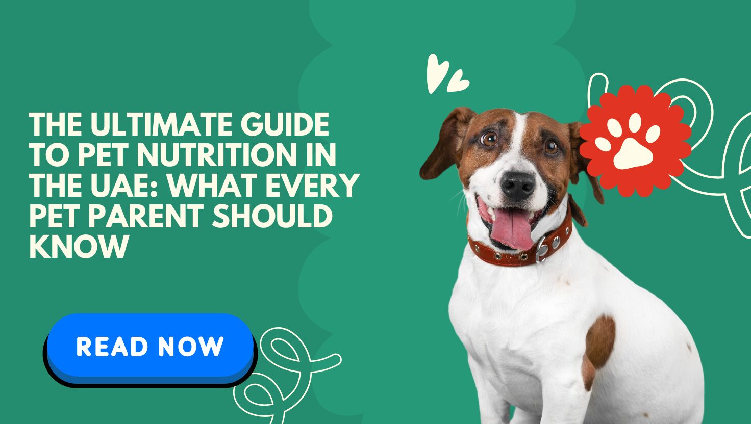 The Ultimate Guide to Pet Nutrition in the UAE: What Every Pet Parent Should Know