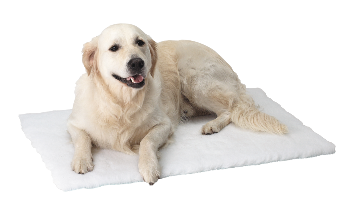 download KRUUSE Vet Bed - Image 1