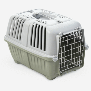 Pratiko 2 Pet Carrier Light Green Medium