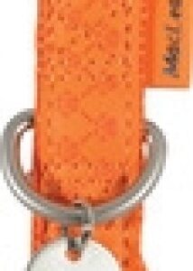 Macleather Adjsutable Collar Orange, 20 mm