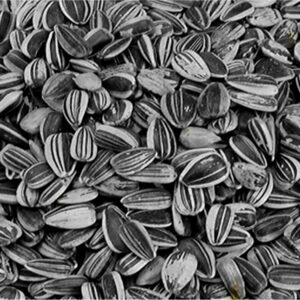 VADIGRAN Sunflower seed small striped