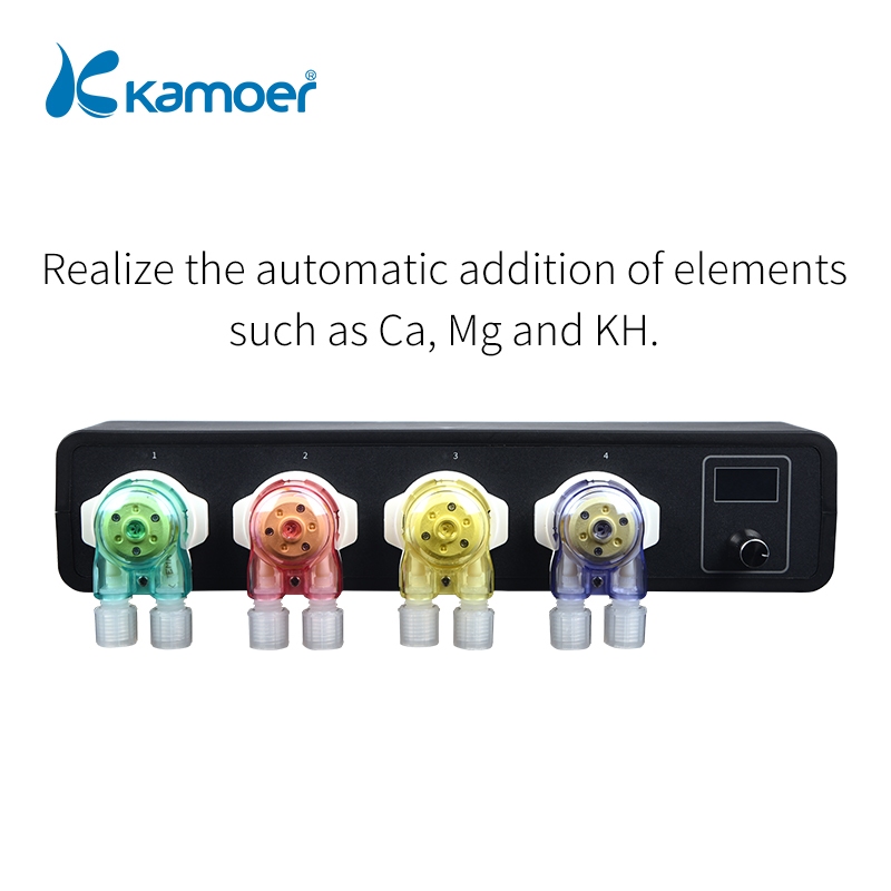 main-44.jpg KAMOER - Image 1