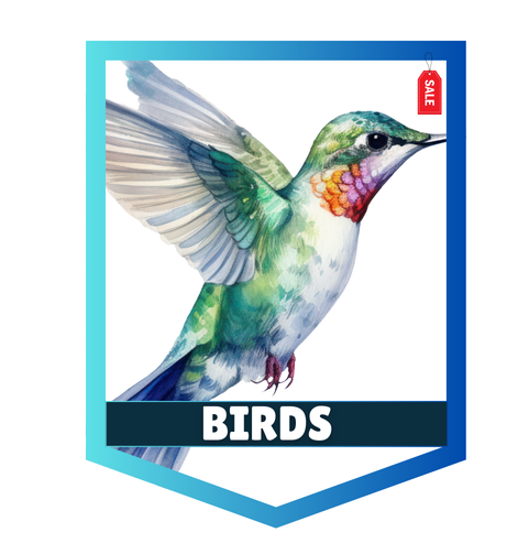 Dog food & dog supplies in Dubai