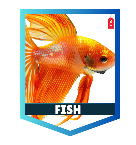 Aquarium & fish supplies in Dubai