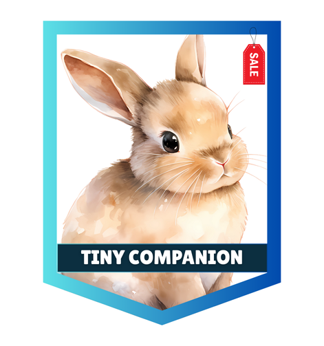 Small pet supplies in Dubai