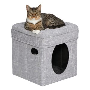 Curious Cat Cube - Silver