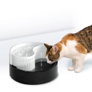 Fung Shui Premium Plastic Drinking Fountain 60 oz (1.8 L)