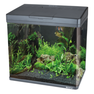 Boyu Aquarium MS-Series (Without Cabinet) – Black, 480x250x490mm