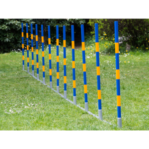 FCI Professional Agility Slalom