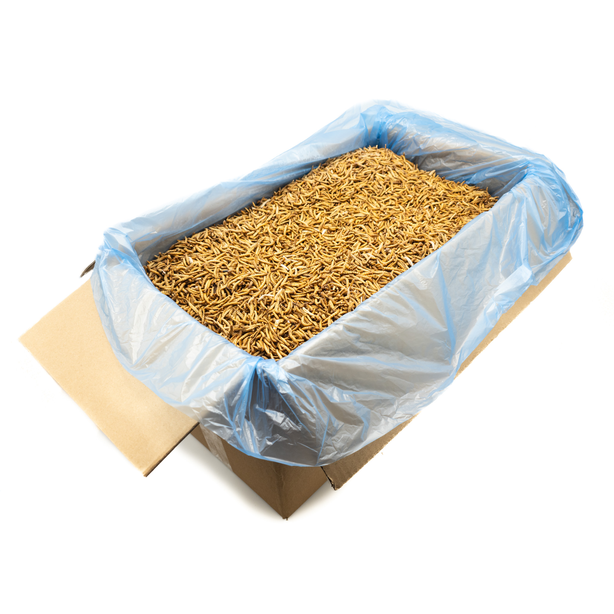 48425.png Frozen Mealworms 15 kg - Image 1