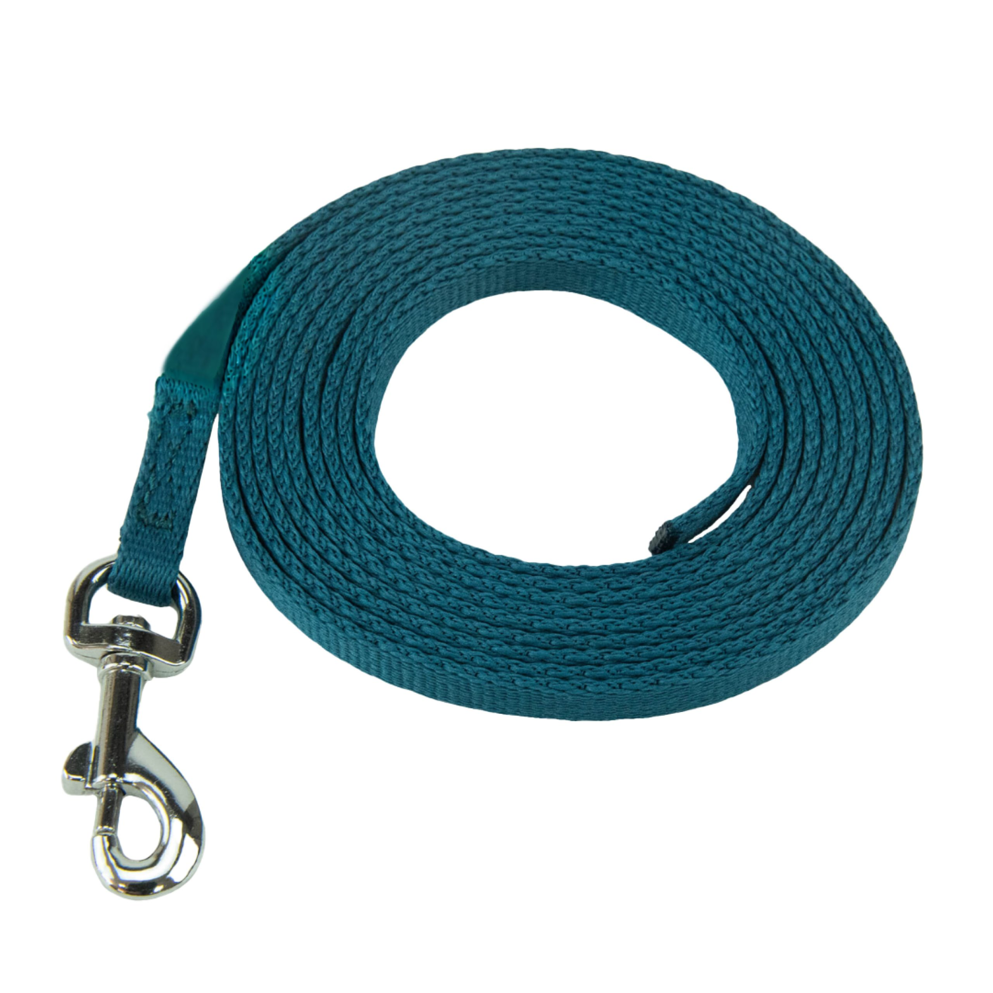 49010.png Coachi Puppy & Mini Training Line Teal - Image 1