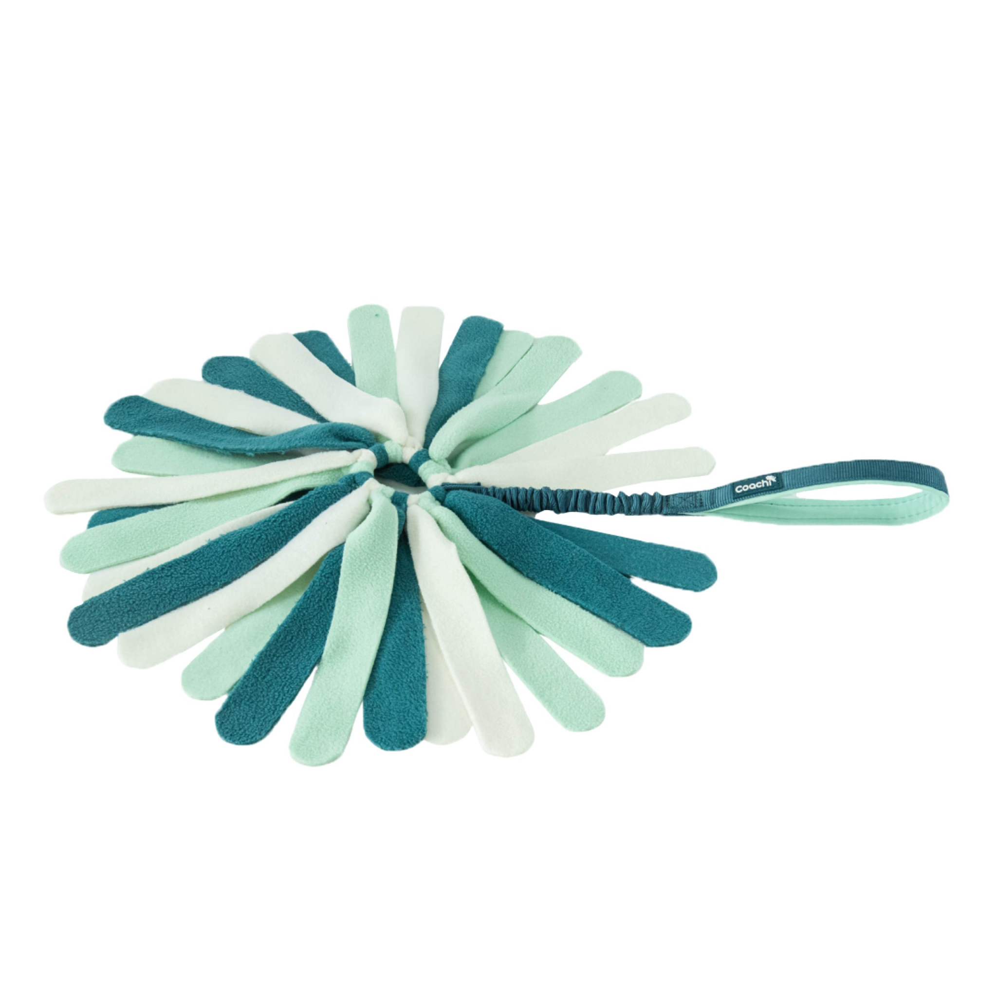 49012.png Coachi Puppy & Mini Tuggi Spider Teal & Mint - Image 1