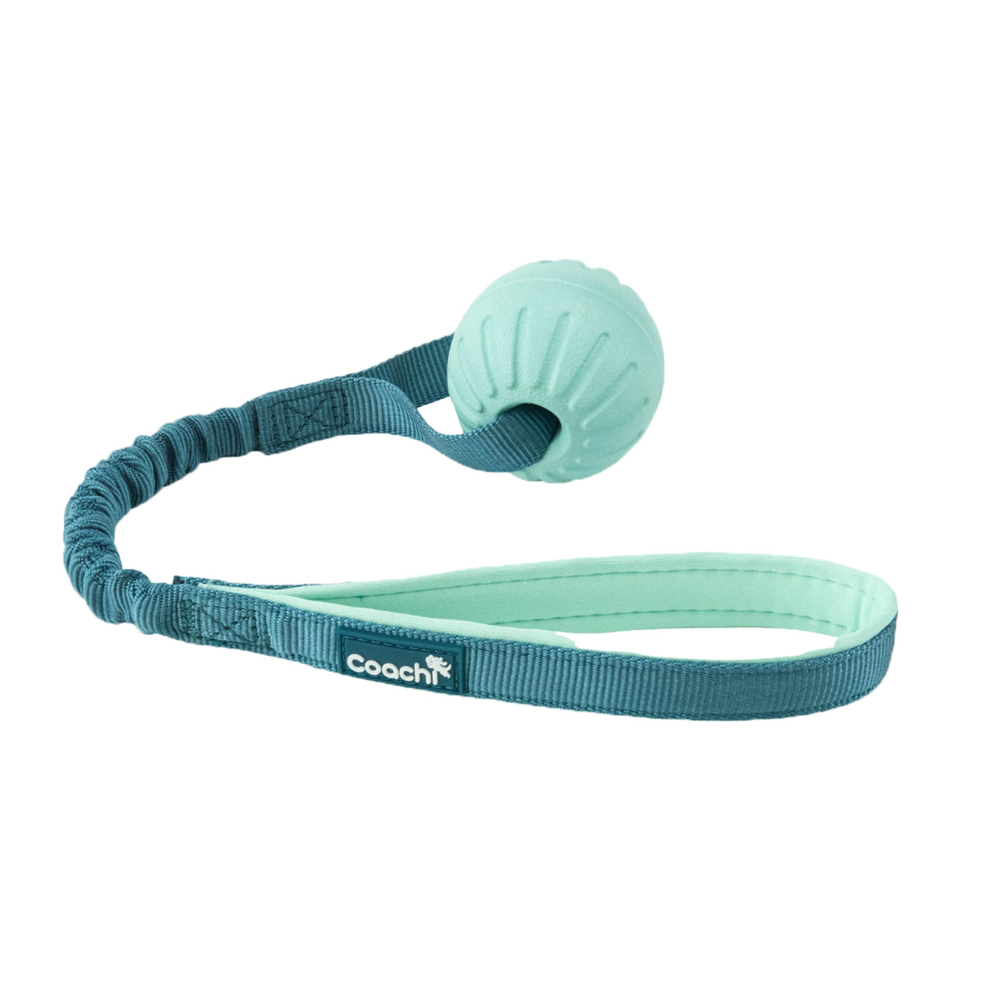 49014.png Coachi Puppy & Mini Tuggi Ball Teal & Mint - Image 1