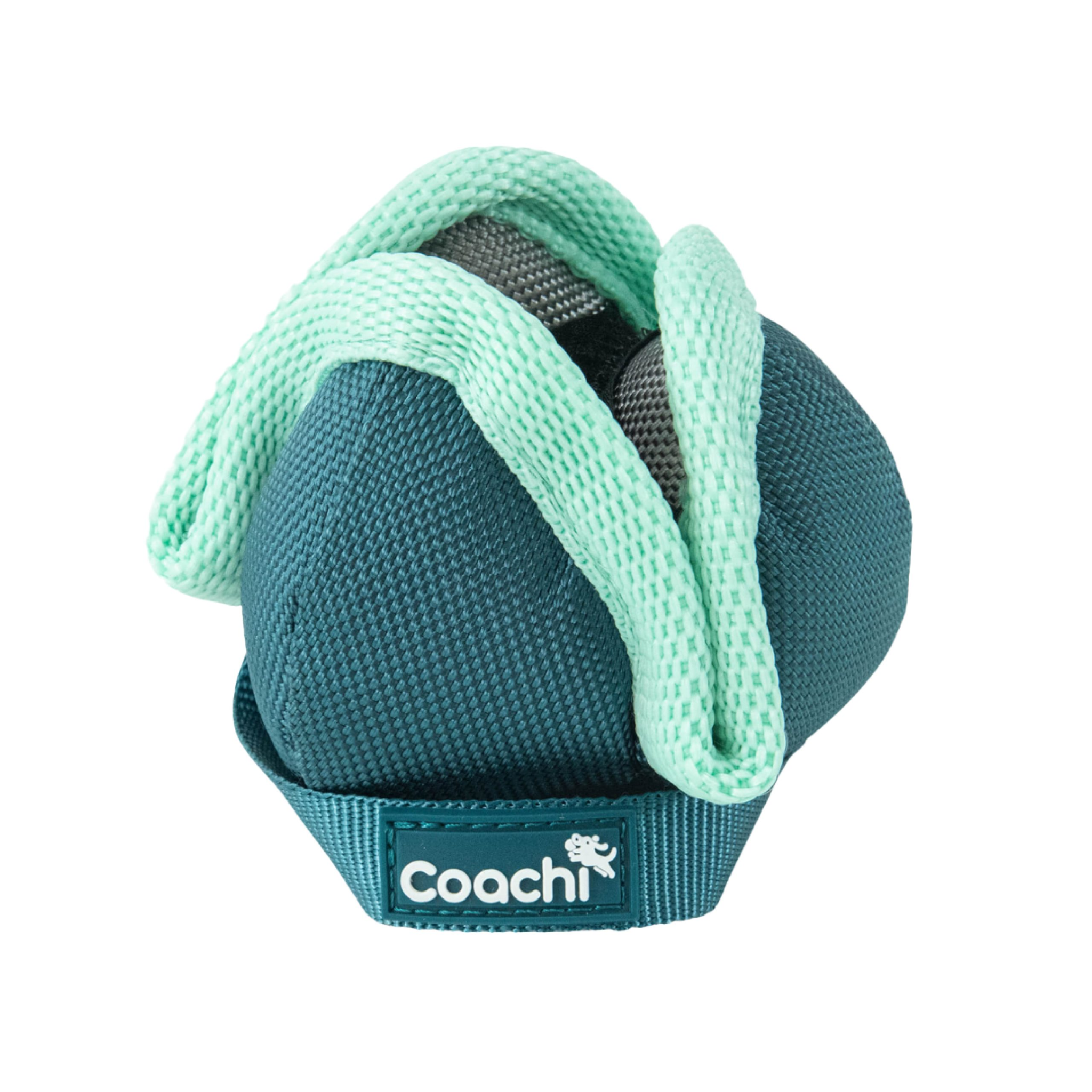 49016.png Coachi Puppy & Mini Chase & Treat Teal & Mint - Image 1