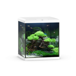 Vio Cube 54 White