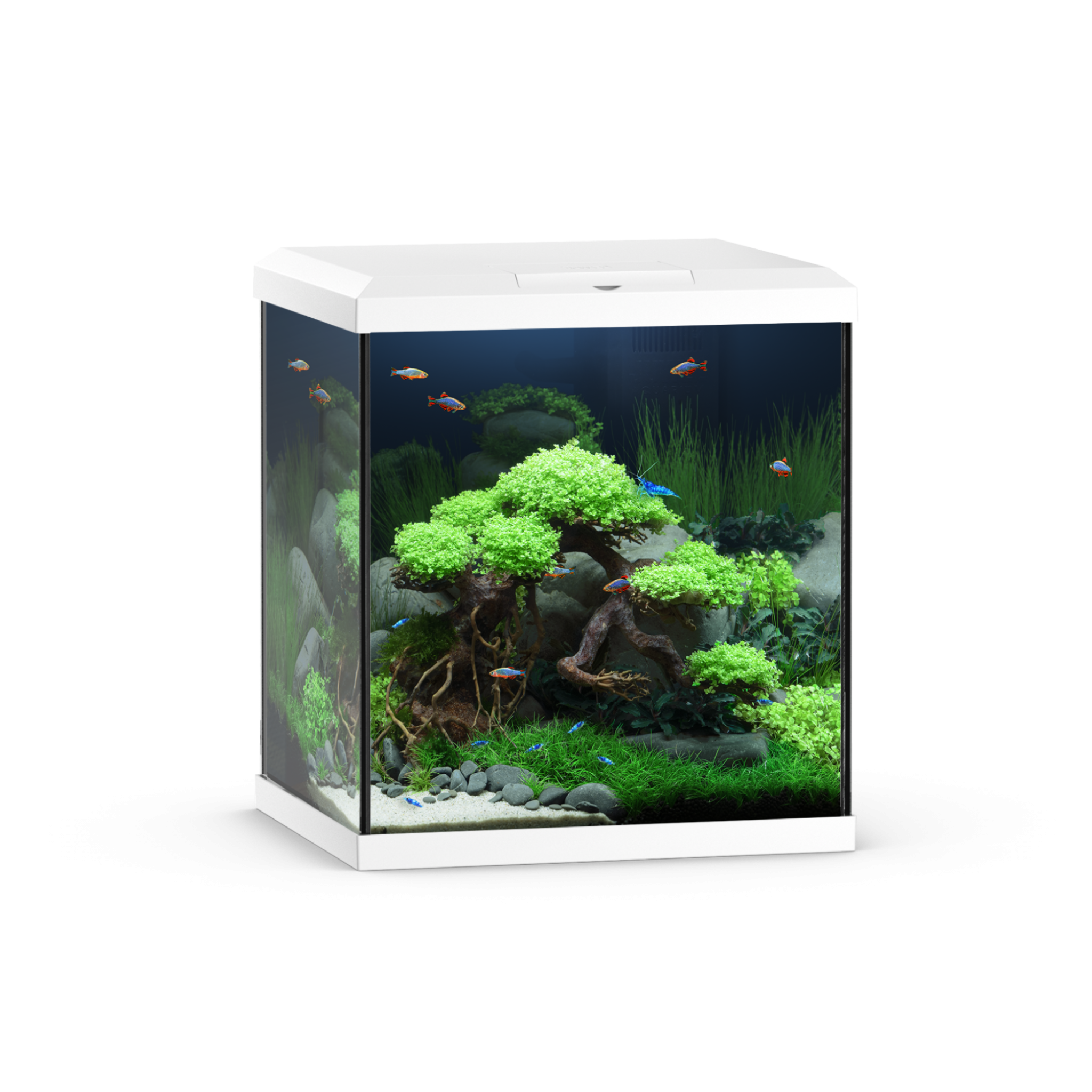 49581.png Vio Cube 54 White - Image 1
