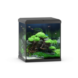 Vio Cube 54 Black