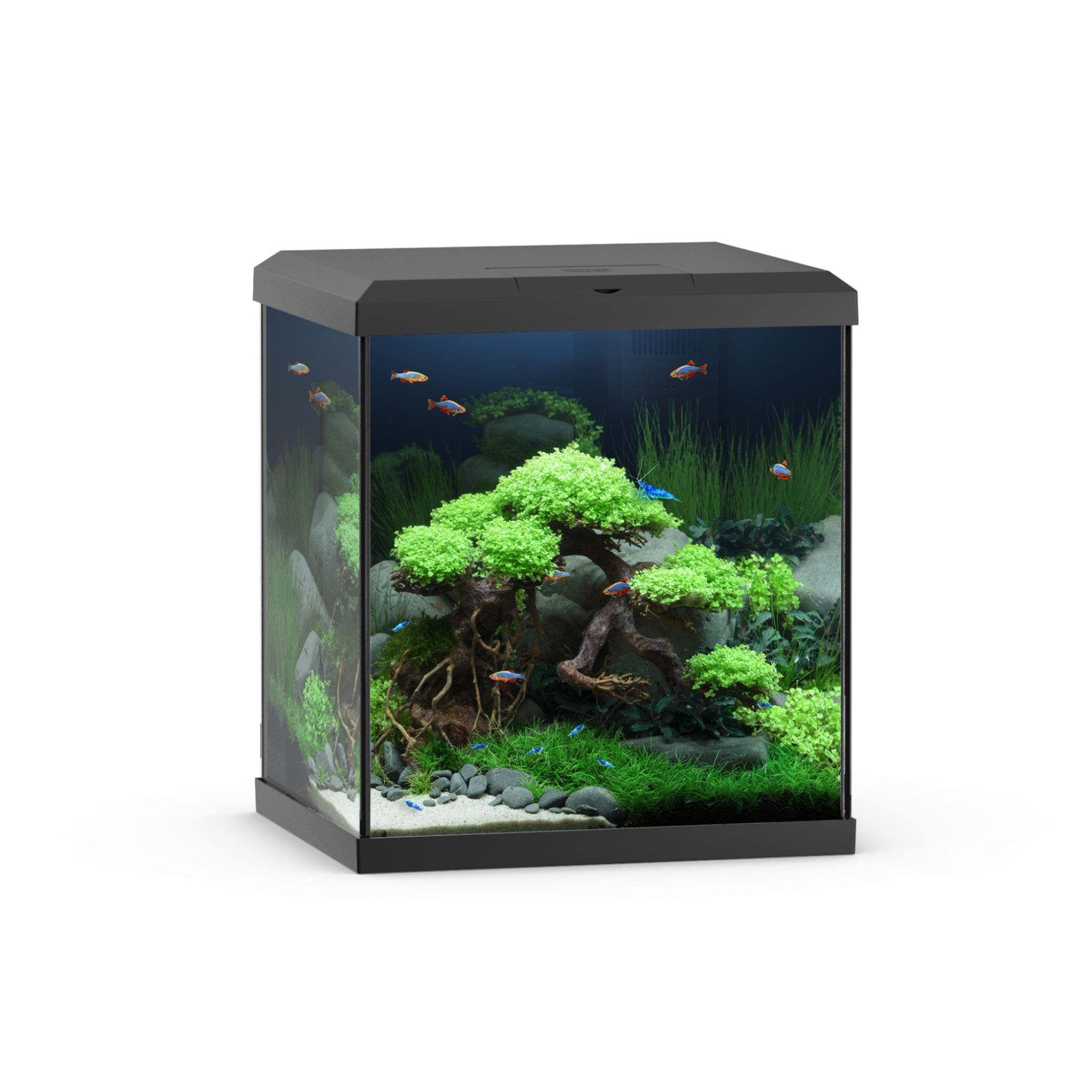 49587.png Vio Cube 54 Black - Image 1