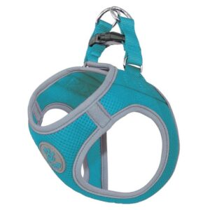 DOCO® Athletica QUICK FIT Reflective Harness - [Turquoise, Size - M]