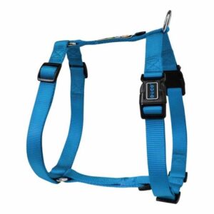 DOCO® Signature H-Harness (DCSN201)[Color - Blue, Size - M]