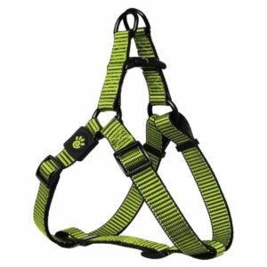 DOCO® Martini Bean Harness (DCS205)[Size - M, Color - Lemon]