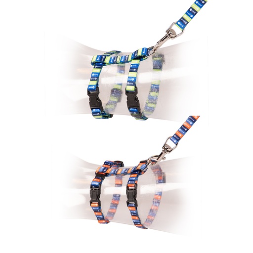 AL-41.jpg Duvo+ Kitten Walking Set Fish Bones 15-25cm / 8mm-125cm Mixed Colors - Image 1
