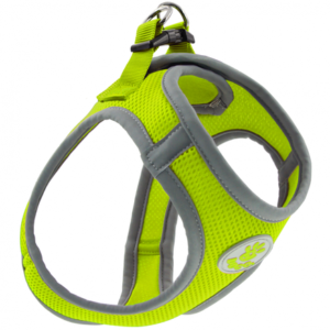 Doco Athletica QUICK V Mesh Harnes (DCA308)[Size - XL, Color - Lemon]