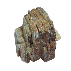 Karis Red Melalecua Rock Large (Per Kg)