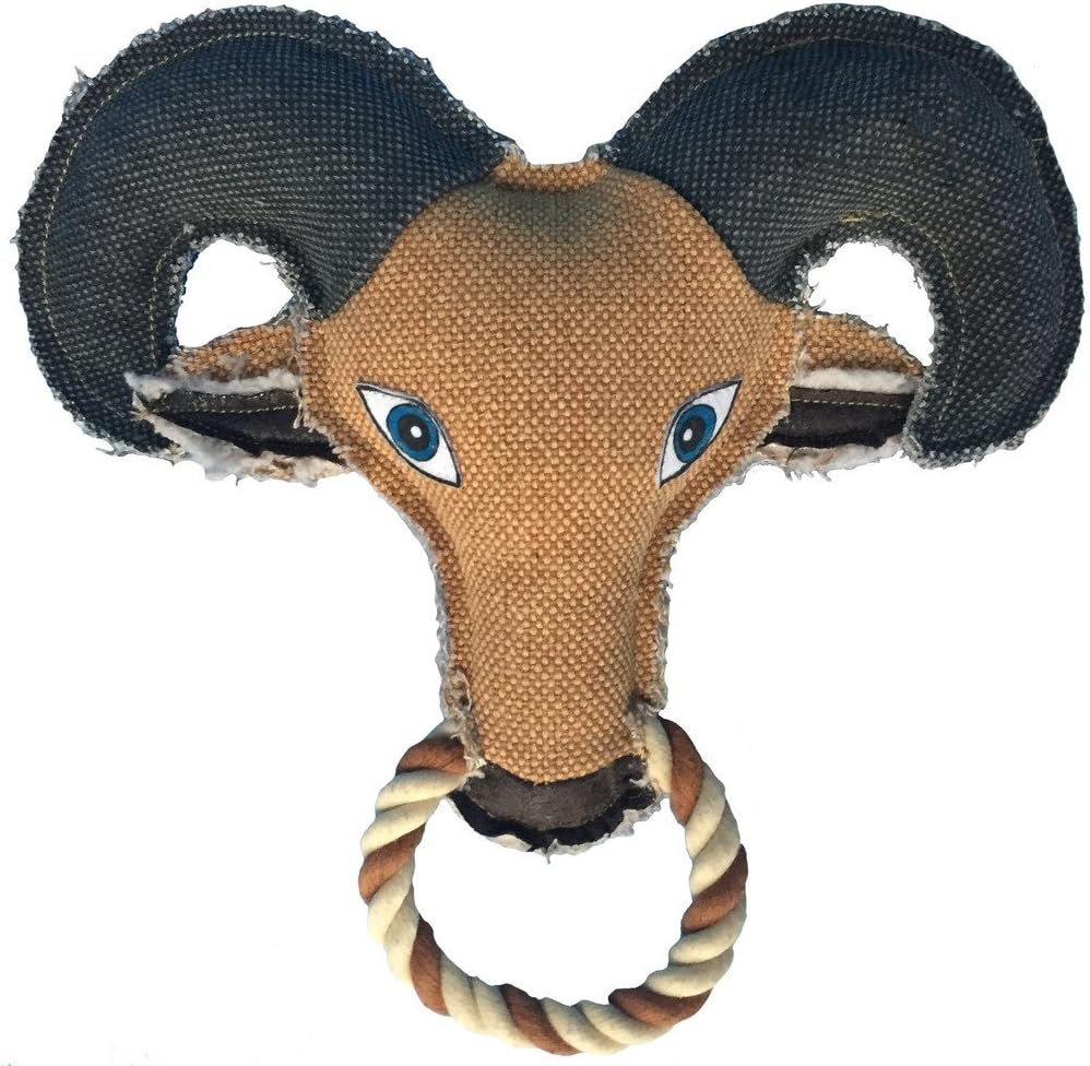 020137.jpg Nutrapet GOAT Dog Toy - Image 1