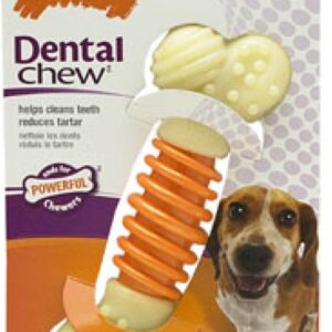 Nylabone Dental Pro Action Chew - Bacon (Medium)
