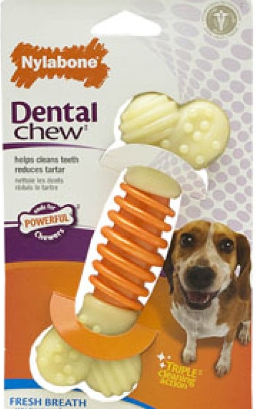1-6.jpg Nylabone Dental Pro Action Chew - Bacon (Medium) - Image 1