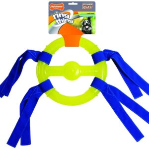 Nylabone Nyla Play Ring Thing 7"